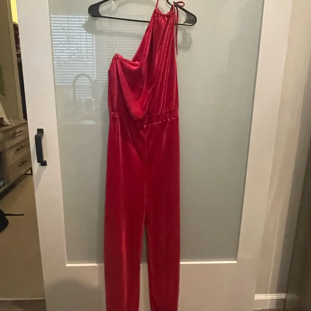 NEW Raspberry Jumpsuit - Picture 5 of 8